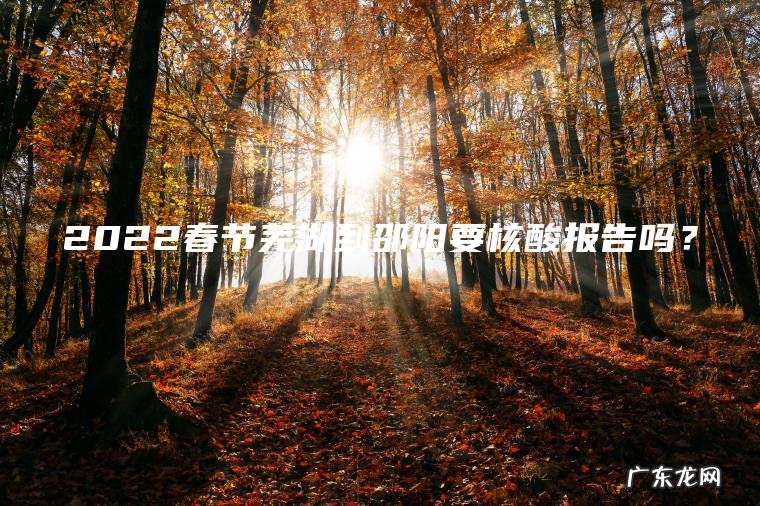 2022春节芜湖到邵阳要核酸报告吗？