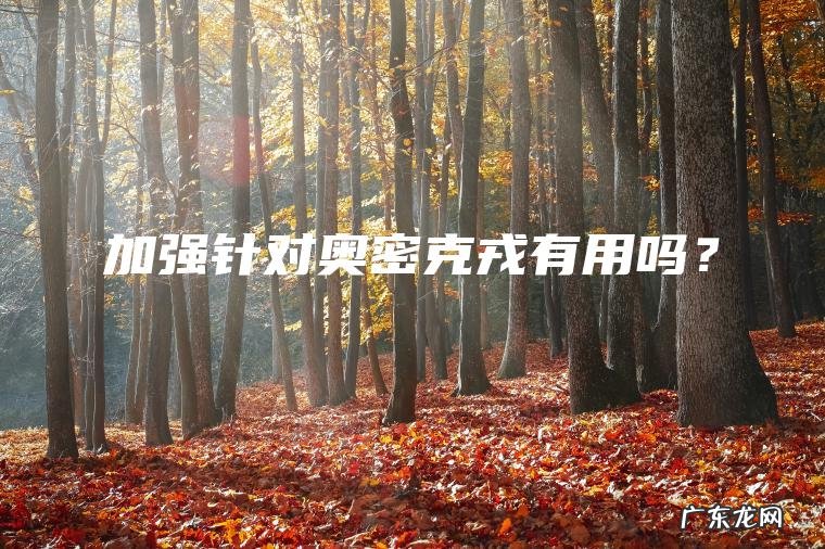 加强针对奥密克戎有用吗？