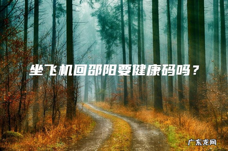 坐飞机回邵阳要健康码吗？