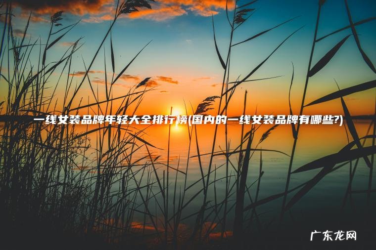 一线女装品牌年轻大全排行榜(国内的一线女装品牌有哪些?)
