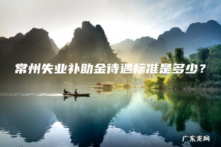 常州失业补助金待遇标准是多少？