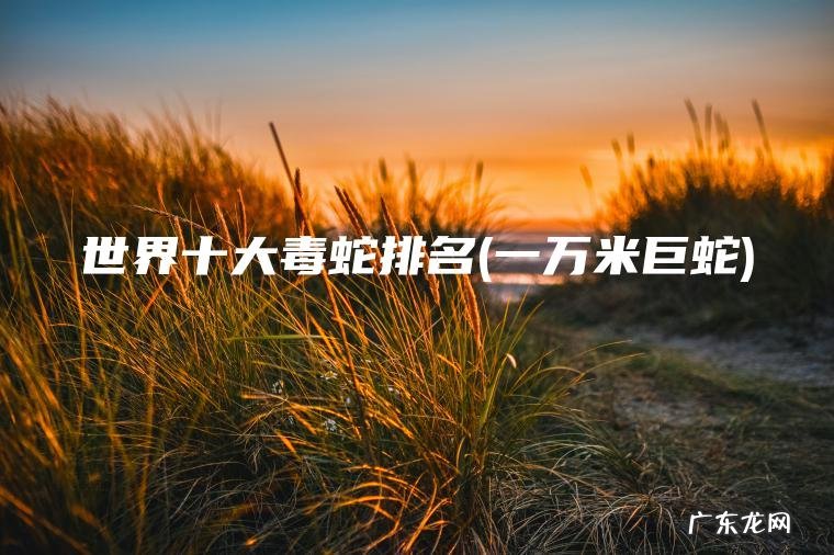 世界十大毒蛇排名(一万米巨蛇)