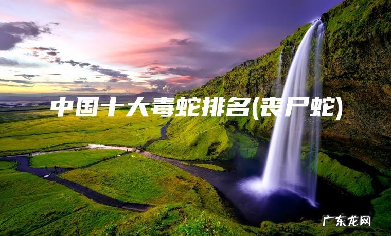 中国十大毒蛇排名(丧尸蛇)