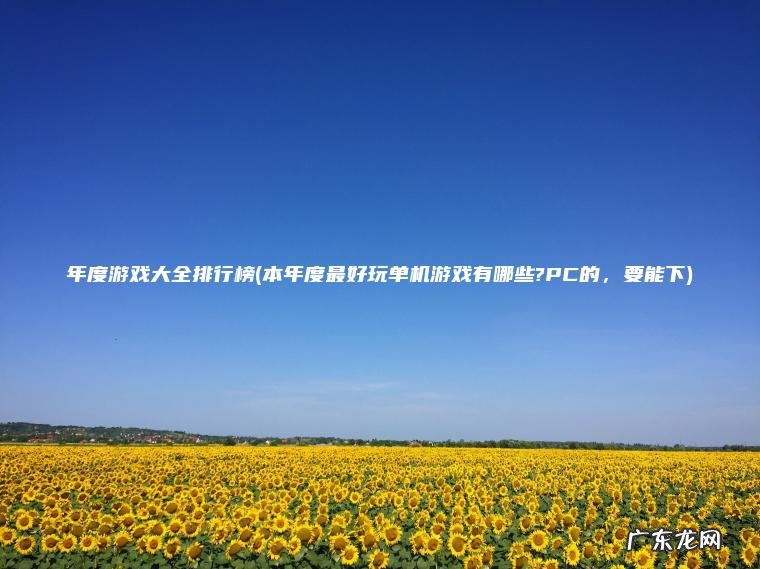 年度游戏大全排行榜(本年度最好玩单机游戏有哪些?PC的，要能下)