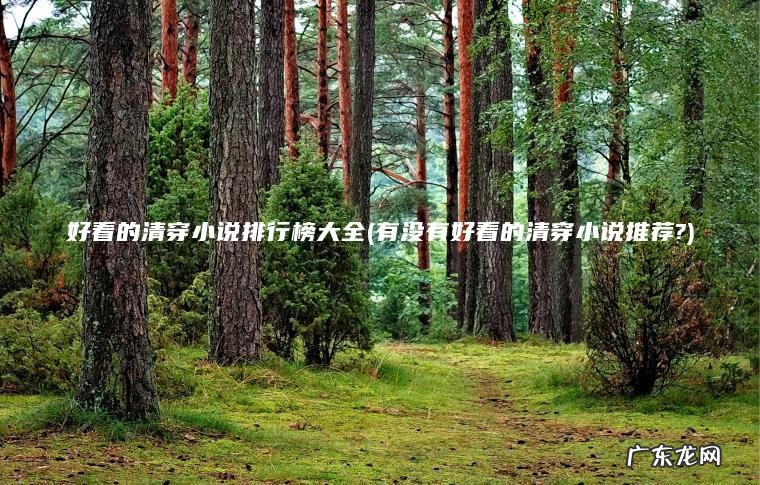 好看的清穿小说排行榜大全(有没有好看的清穿小说推荐?)