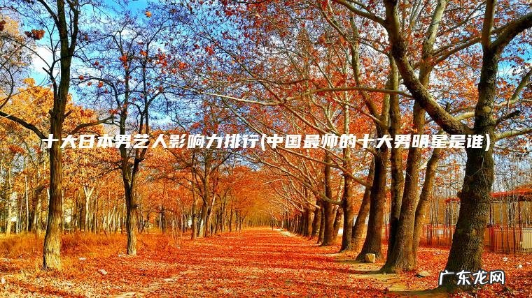 十大日本男艺人影响力排行(中国最帅的十大男明星是谁)