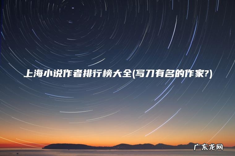 上海小说作者排行榜大全(写刀有名的作家?)