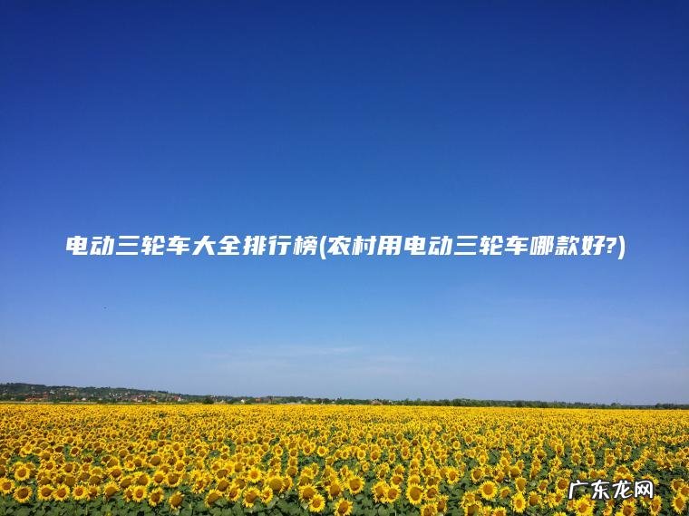 电动三轮车大全排行榜(农村用电动三轮车哪款好?)