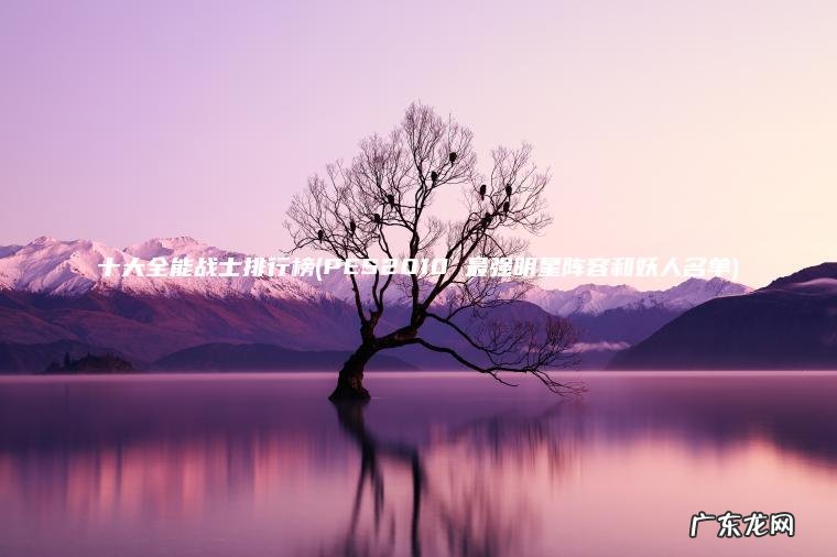 十大全能战士排行榜(PES2010 最强明星阵容和妖人名单)