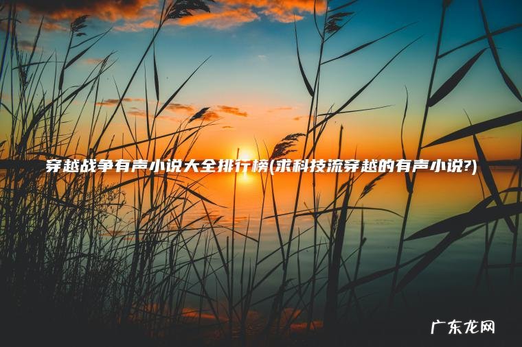 穿越战争有声小说大全排行榜(求科技流穿越的有声小说?)