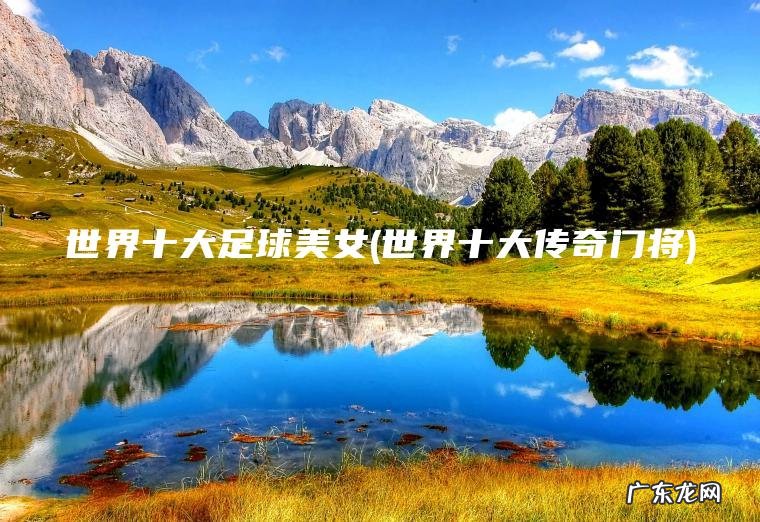 世界十大足球美女(世界十大传奇门将)