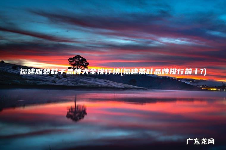 福建服装鞋子品牌大全排行榜(福建茶叶品牌排行前十?)
