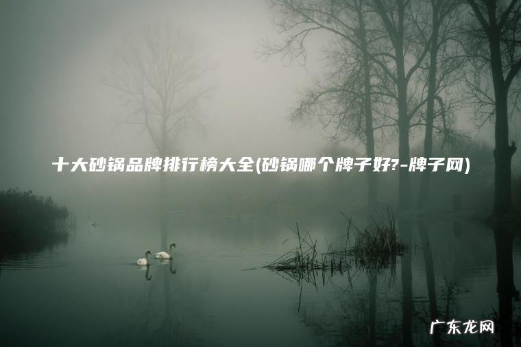 十大砂锅品牌排行榜大全(砂锅哪个牌子好?-牌子网)