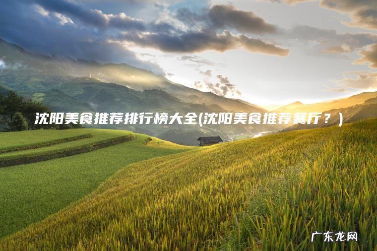 沈阳美食推荐排行榜大全(沈阳美食推荐餐厅？)