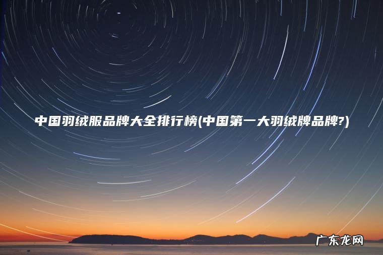 中国羽绒服品牌大全排行榜(中国第一大羽绒牌品牌?)