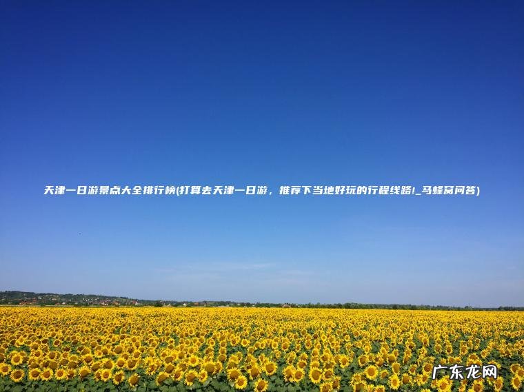 天津一日游景点大全排行榜(打算去天津一日游， 推荐下当地好玩的行程线路!_马蜂窝问答)