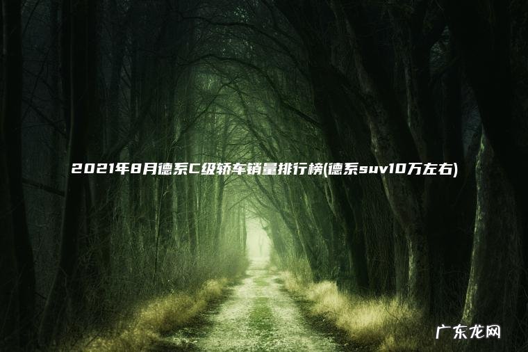 2021年8月德系C级轿车销量排行榜(德系suv10万左右)