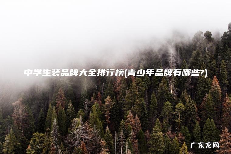 中学生装品牌大全排行榜(青少年品牌有哪些?)