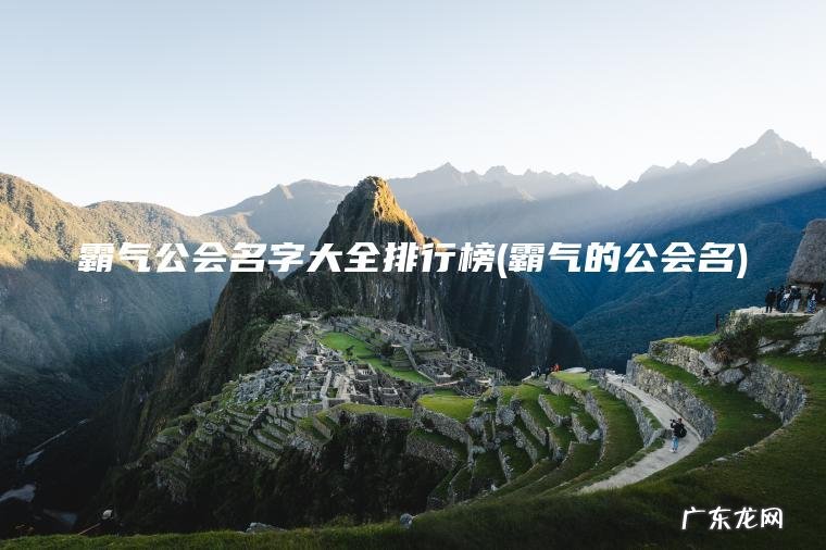 霸气公会名字大全排行榜(霸气的公会名)