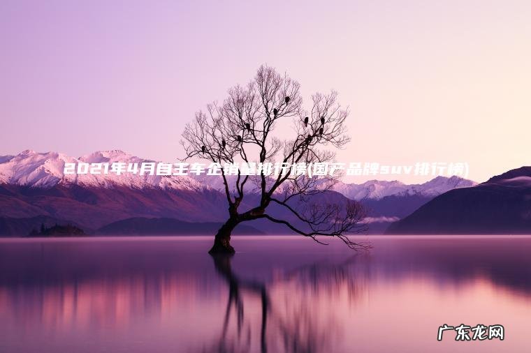 2021年4月自主车企销量排行榜(国产品牌suv排行榜)