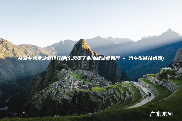 柴油车大全油耗排行榜(东风奥丁柴油版油耗如何 – 汽车维修技术网)