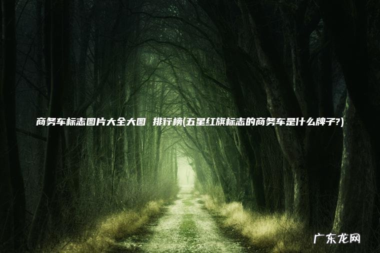 商务车标志图片大全大图 排行榜(五星红旗标志的商务车是什么牌子?)