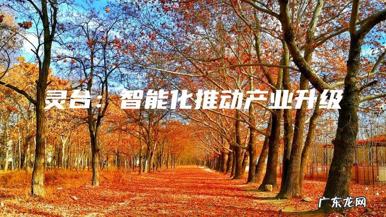 灵台：智能化推动产业升级