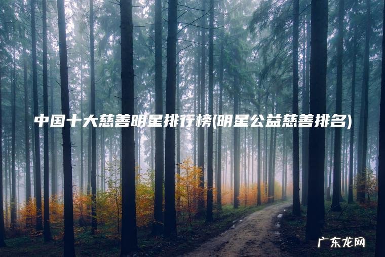 中国十大慈善明星排行榜(明星公益慈善排名)