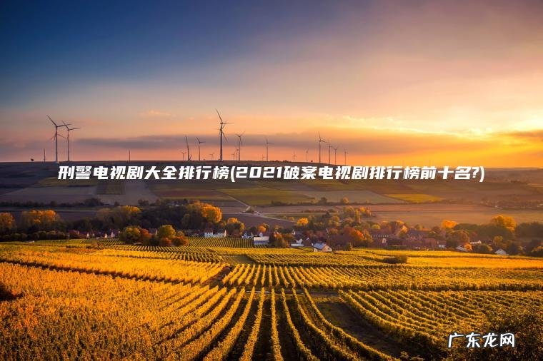 刑警电视剧大全排行榜(2021破案电视剧排行榜前十名?)