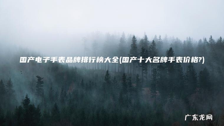 国产电子手表品牌排行榜大全(国产十大名牌手表价格?)