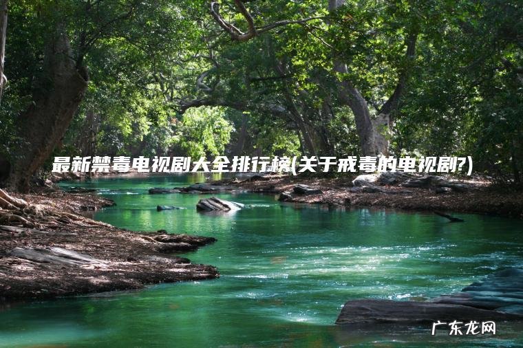 最新禁毒电视剧大全排行榜(关于戒毒的电视剧?)