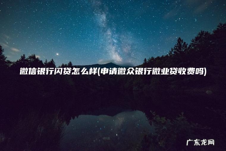 微信银行闪贷怎么样(申请微众银行微业贷收费吗)
