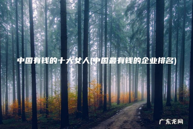 中国有钱的十大女人(中国最有钱的企业排名)
