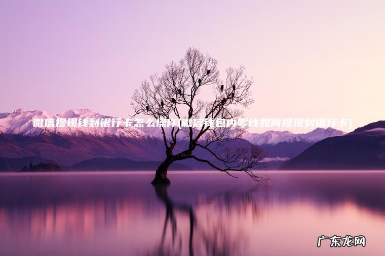 微信提现钱到银行卡怎么操作(微信钱包内零钱如何提现到银行卡)