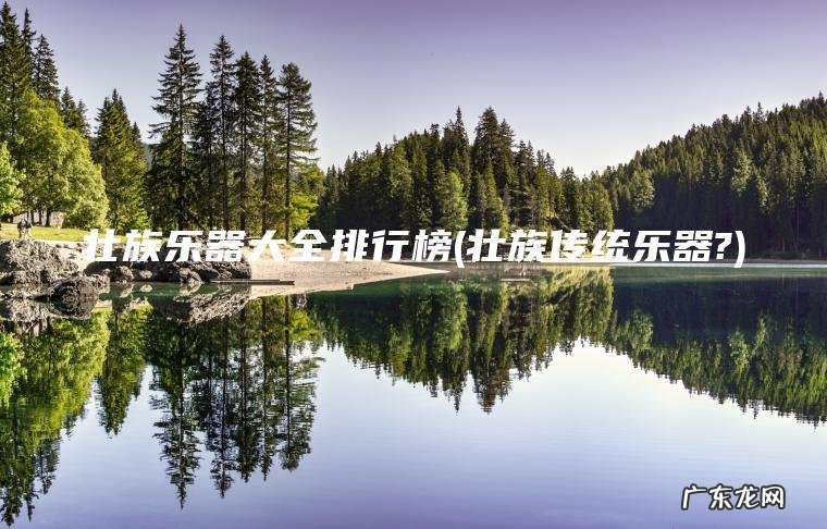 壮族乐器大全排行榜(壮族传统乐器?)