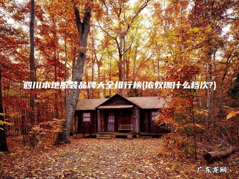 四川本地服装品牌大全排行榜(依奴珈什么档次?)