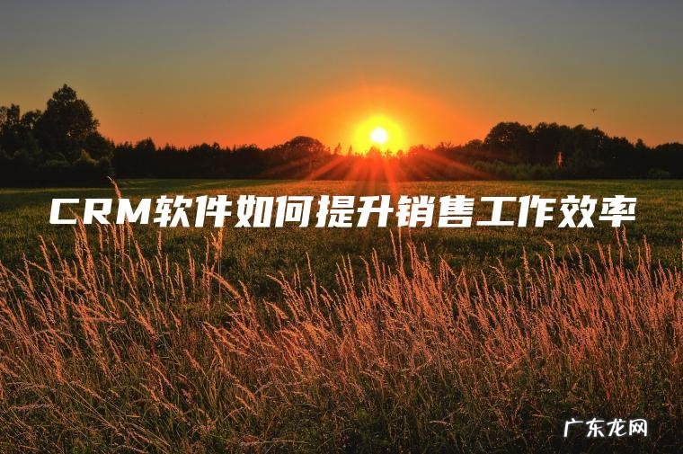 CRM软件如何提升销售工作效率