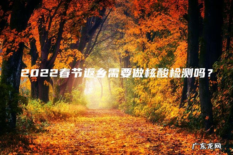 2022春节返乡需要做核酸检测吗？