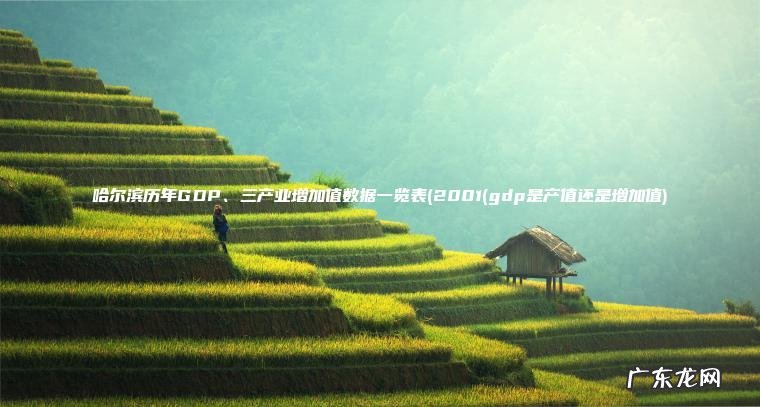 哈尔滨历年GDP、三产业增加值数据一览表(2001(gdp是产值还是增加值)