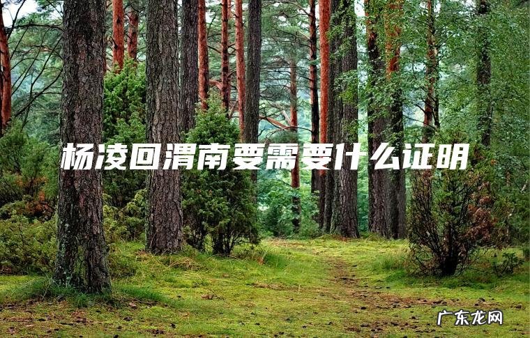 杨凌回渭南要需要什么证明