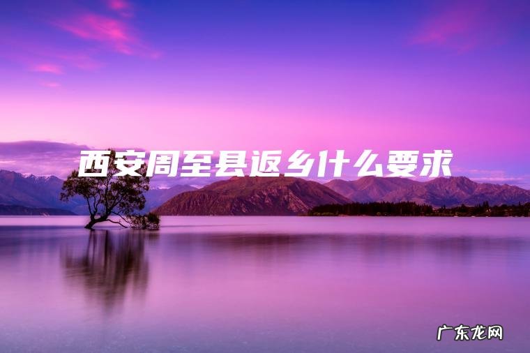 西安周至县返乡什么要求