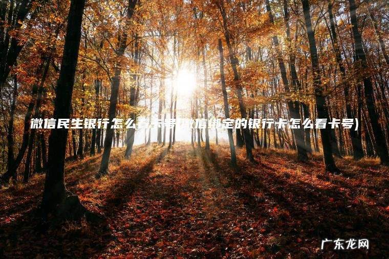 微信民生银行怎么看卡号(微信绑定的银行卡怎么看卡号)