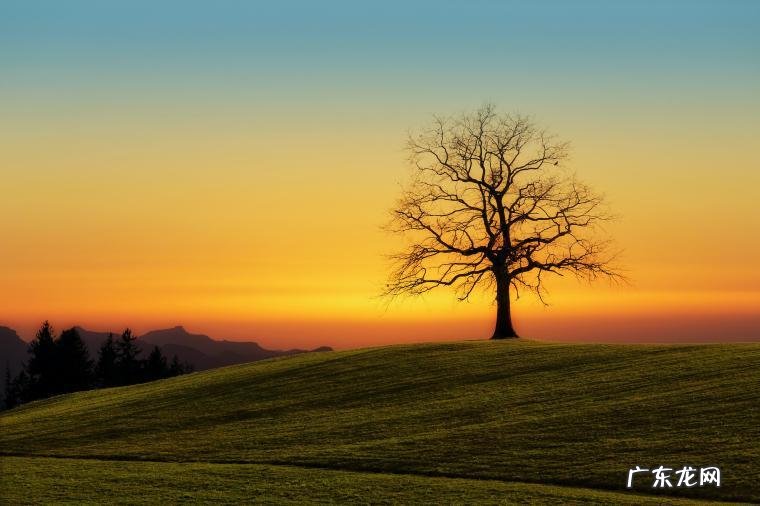 2015年中国电影排行榜大全(2015年到2021所有上映的电影？)