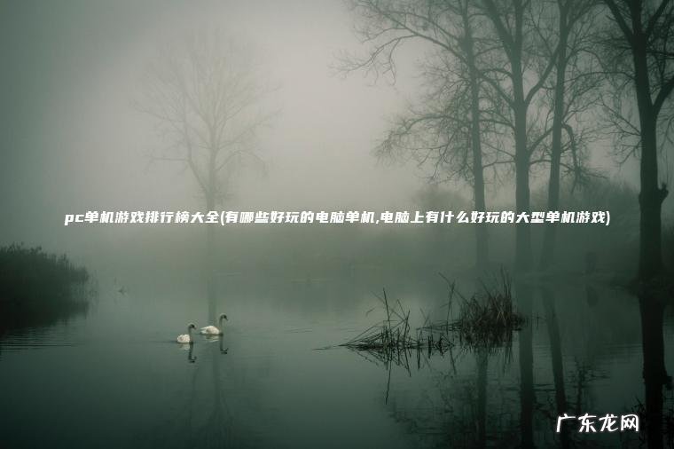 pc单机游戏排行榜大全(有哪些好玩的电脑单机,电脑上有什么好玩的大型单机游戏)