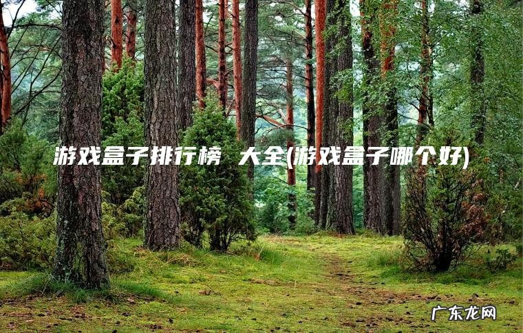 游戏盒子排行榜 大全(游戏盒子哪个好)