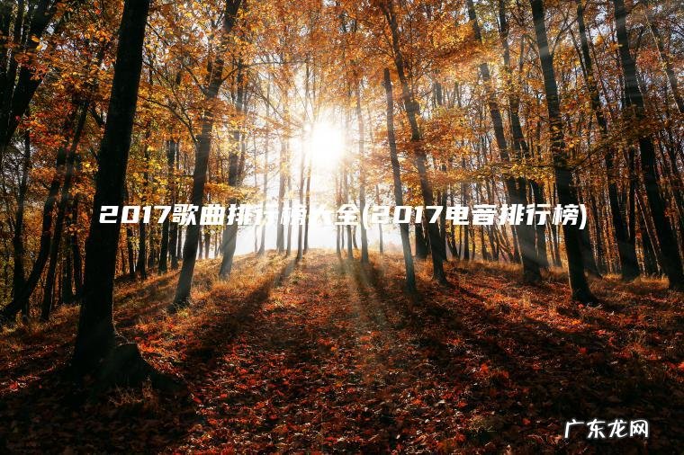 2017歌曲排行榜大全(2017电音排行榜)