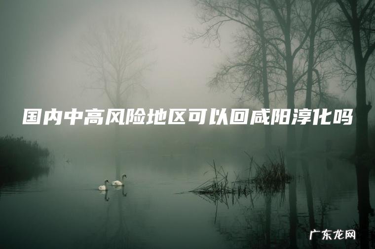 国内中高风险地区可以回咸阳淳化吗