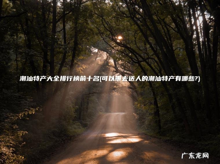 潮汕特产大全排行榜前十名(可以带去送人的潮汕特产有哪些?)