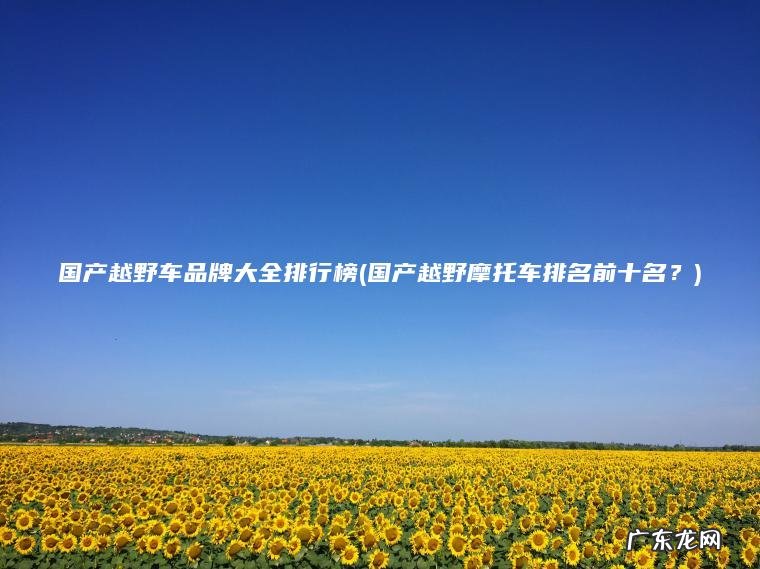国产越野车品牌大全排行榜(国产越野摩托车排名前十名？)