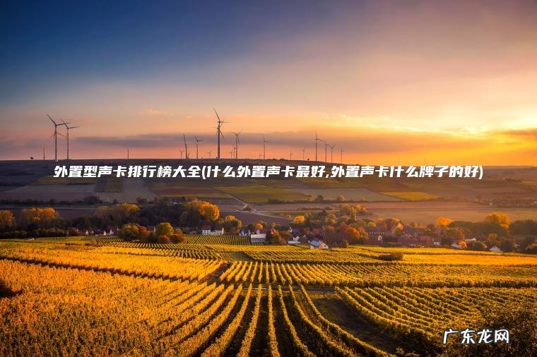 外置型声卡排行榜大全(什么外置声卡最好,外置声卡什么牌子的好)